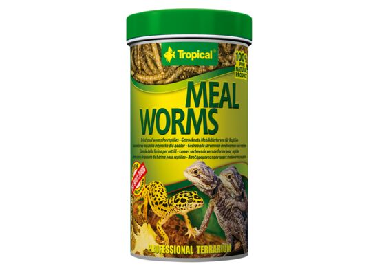 Pokarm terra meal worms 250 ml 30 g Tropical