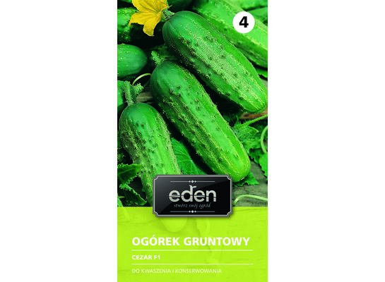 Ogórek gruntowy Cezar F1 5 g Eden