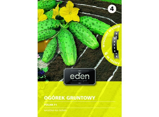 Ogórek gruntowy na taśmie Polan F1 6 m Eden
