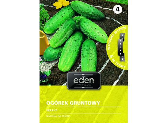 Ogórek gruntowy na taśmie Hela F1 6 m Eden