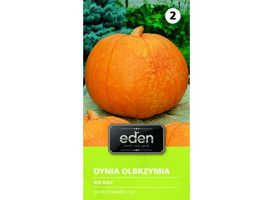 Dynia olbrzymia Big Max 3 g Eden