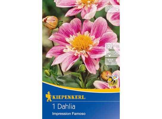 Dalia Impression Famoso