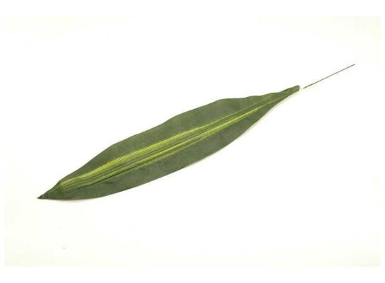 Liść draceny pojedynczy 60 cm