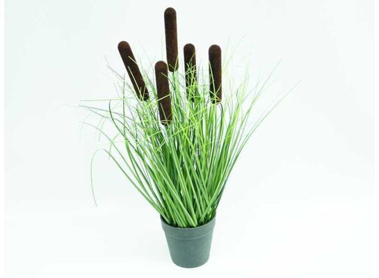 Trawa w doniczce 45 cm