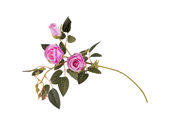 Róża 95 cm gałązka