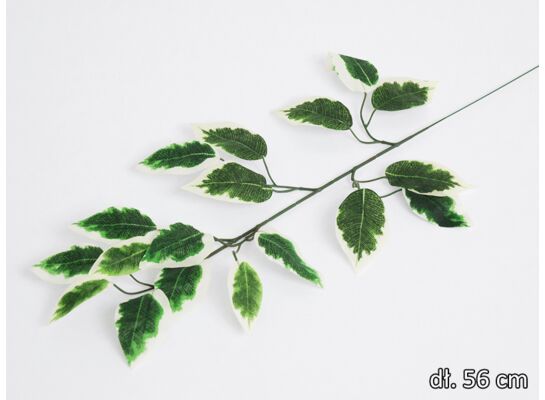 Liść fikusa gałązka 56 cm