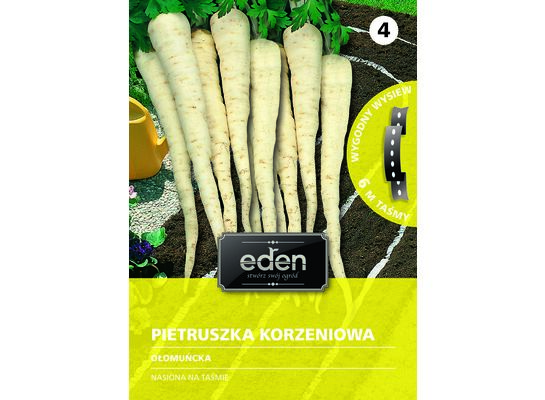 Pietruszka korzeniowa na taśmie Ołomuńcka 6 m Eden