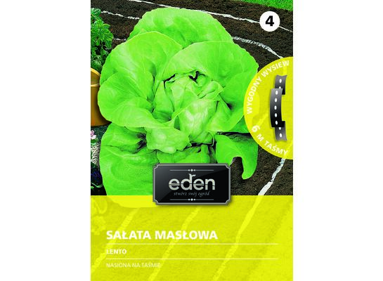 Sałata gruntowa masłowa na taśmie Lento 6 m Eden