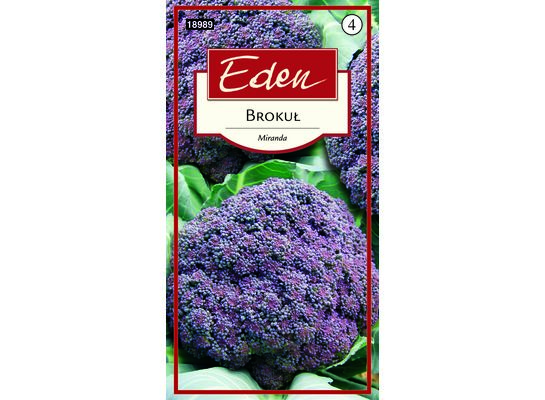Brokuł fioletowy Miranda 2 g Eden