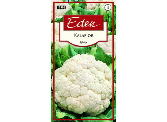 Kalafior Igloory 1 g Eden