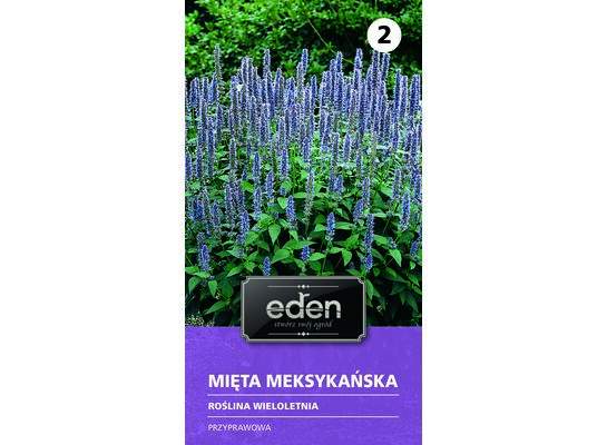 Mięta meksykańska 0,1 g Eden
