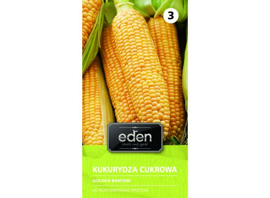Kukurydza Golden Bantam 10 g Eden