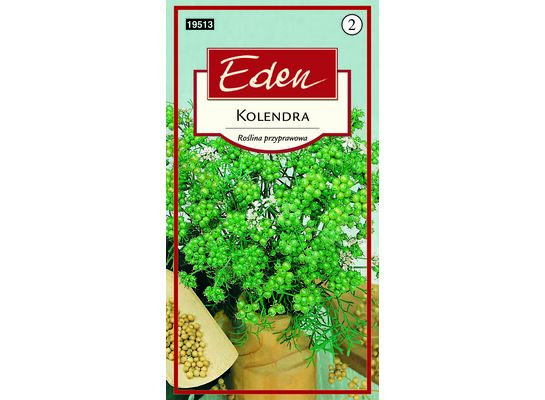 Kolendra siewna 3 g Eden