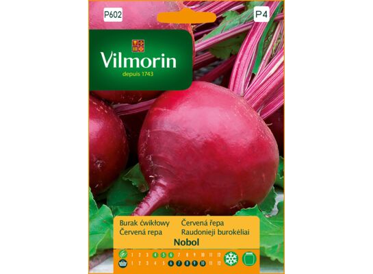 Burak ćwikłowy Nobol 8 g Vilmorin Garden