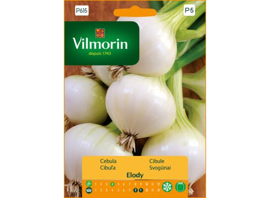 Cebula biała Elody 3 g Vilmorin Garden