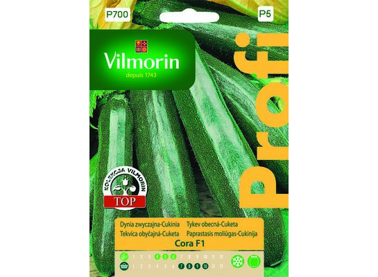 Dynia zwyczajna cukinia Cora F1 2 g Vilmorin Garden
