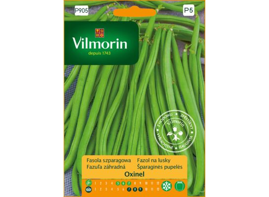 Fasola szparagowa zielona karłowa Oxinel 30 g Vilmorin Garden