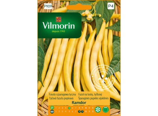 Fasola szparagowa żółta tyczna Ramdor 10 g Vilmorin Garden
