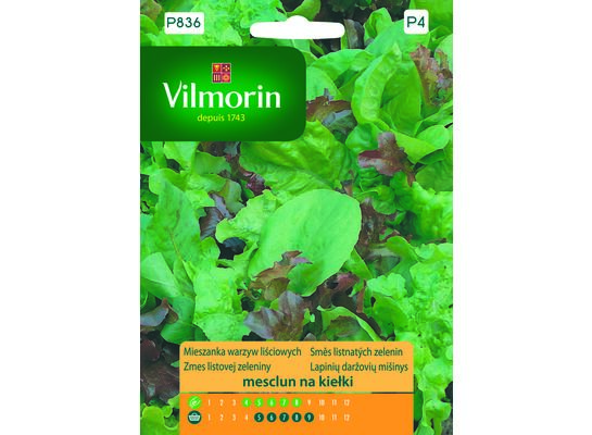Mieszanka na kiełki Mesclun z rukolą 1 g Vilmorin Garden