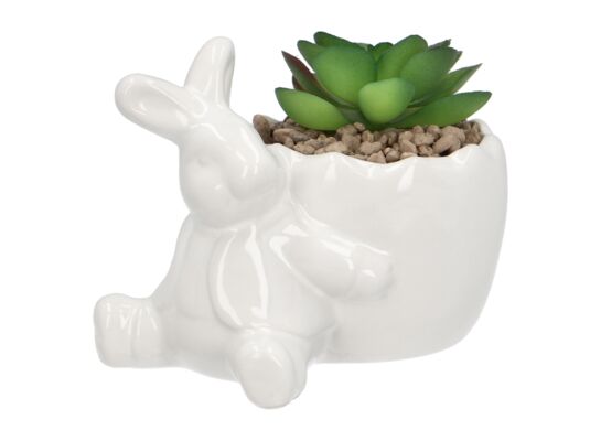 Sukulent w osłonce Królik 11 x 7.7 x 10 cm