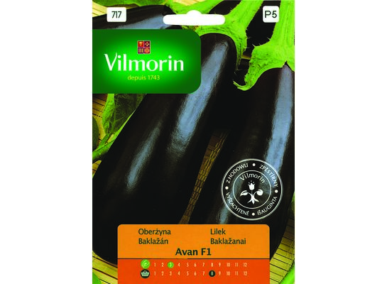 Oberżyna Avan F1 0,5 g Vilmorin Garden