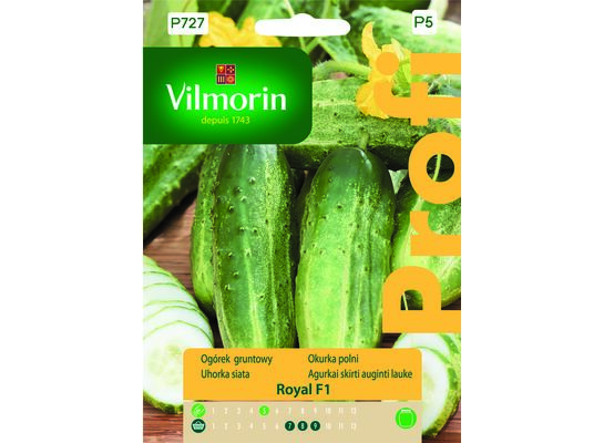 Ogórek gruntowy Royal F1 2 g Vilmorin Garden