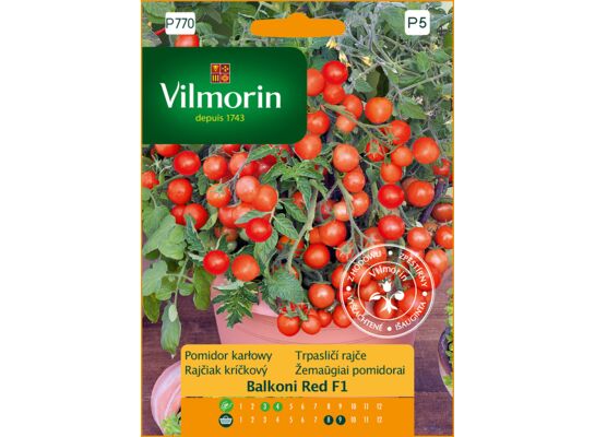 Pomidor balkonowy Balconi Red F1 0,1 g Vilmorin Garden