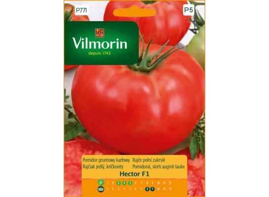 Pomidor gruntowy i pod osłony karłowy Hector F1 0,1 g Vilmorin Garden