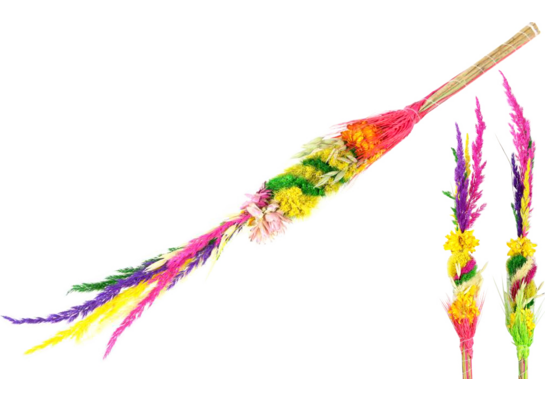 Palma wielkanocna 50 cm