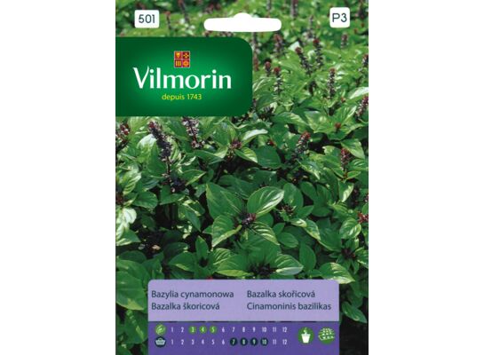 Bazylia cynamonowa 0,5 g Vilmorin Garden
