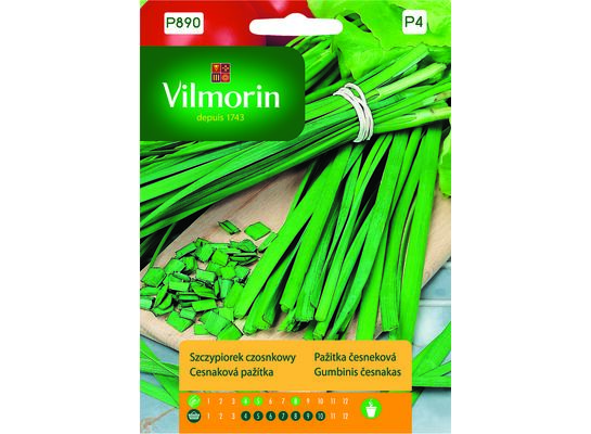 Szczypiorek czosnkowy 1 g Vilmorin Garden