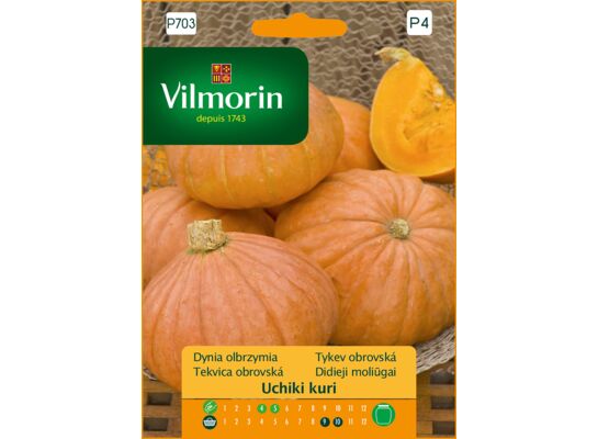 Dynia ozdobna i jadalna Uchiki Kuri 3 g Vilmorin Garden