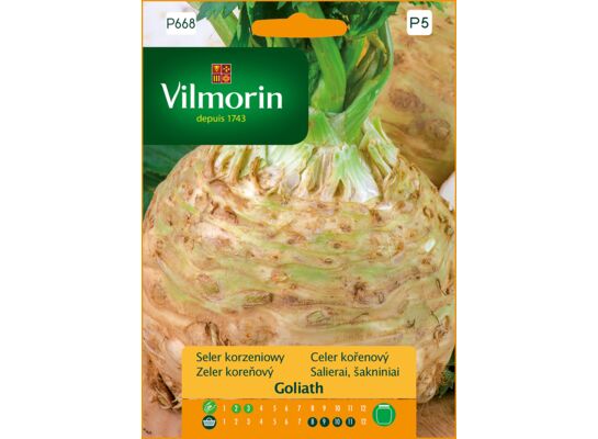 Seler korzeniowy Goliath 0,5 g Vilmorin Garden