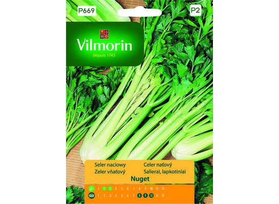 Seler naciowy Nuget 0,5 g Vilmorin Garden