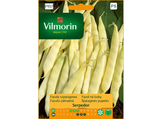 Fasola szparagowa żółta karłowa Serpedor 30 g Vilmorin Garden