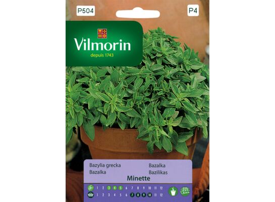 Bazylia grecka Minette 2 g Vilmorin Garden