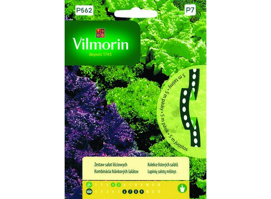 Warzywa na taśmie, zestaw: sałat liściowych 3 odmiany, 5 m Vilmorin Garden