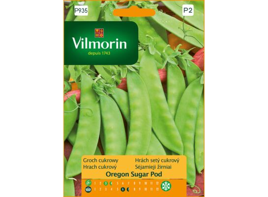 Groch cukrowy Oregon Sugar Pod 40 g Vilmorin Garden