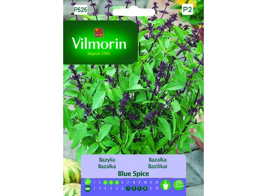Bazylia Blue Spice 1 g Vilmorin Garden