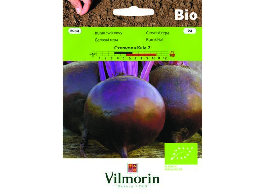 Burak ćwikłowy BIO Czerwona Kula 2 10 g Vilmorin Garden