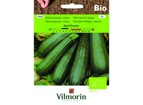 Cukinia BIO Black Beauty 2 g Vilmorin Garden