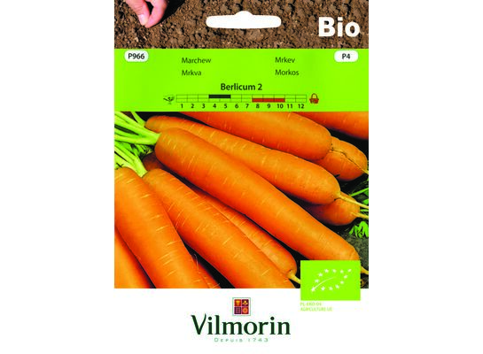 Marchew jadalna BIO Berlikum 2 - 5 g Vilmorin Garden