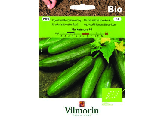 Ogórek sałatkowy BIO Marketmore 76 5 g Vilmorin Garden