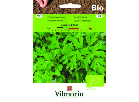 Pietruszka naciowa BIO Gigante d'Italia 5 g Vilmorin Garden