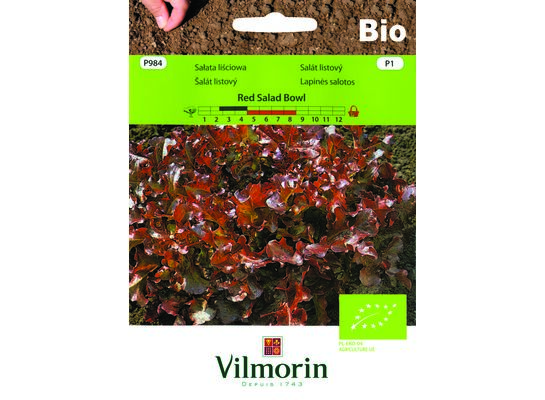 Sałata liściowa BIO Red Salad Bowl czerwona 0,5 g Vilmorin Garden