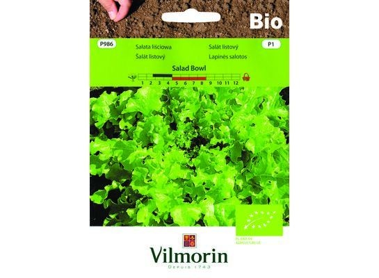 Sałata liściowa BIO Salad Bowl 0,5 g Vilmorin Garden