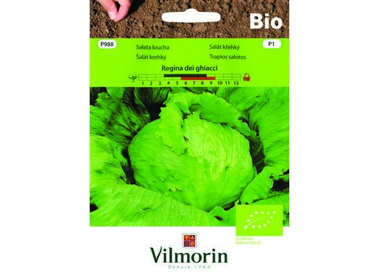 Sałata lodowa BIO Regina dei Ghiacci 0,5 g Vilmorin Garden