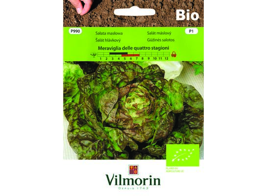 Sałata masłowa BIO Meraviglia delle quattro stagioni 0,5 g Vilmorin Garden
