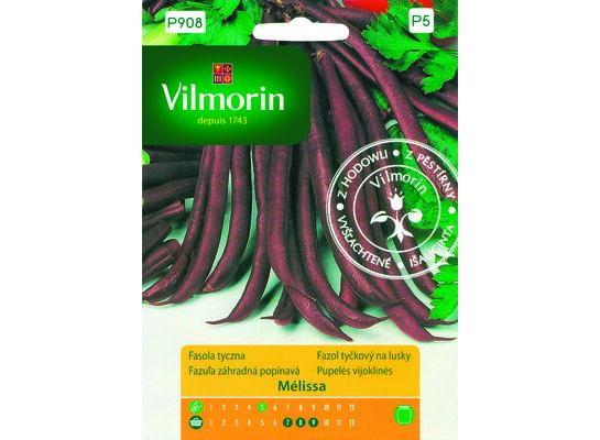 Fasola szparagowa fioletowa tyczna Melissa 10 g Vilmorin Garden