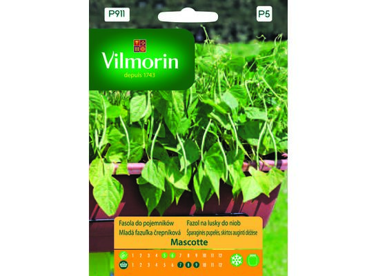 Fasola szparagowa zielona karłowa Mascotte 20 g Vilmorin Garden